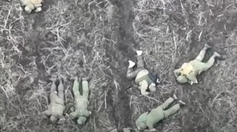 Миколаївські морпіхи показали, як штурмова група РФ «зробила крок доброї волі» (відео)
