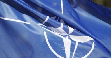 Парламент Фінляндії проголосує про вступ до НАТО, не чекаючи рішення Туреччини та Угорщини