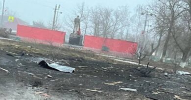 На село у Воронезькій області впала російська ракета (відео)